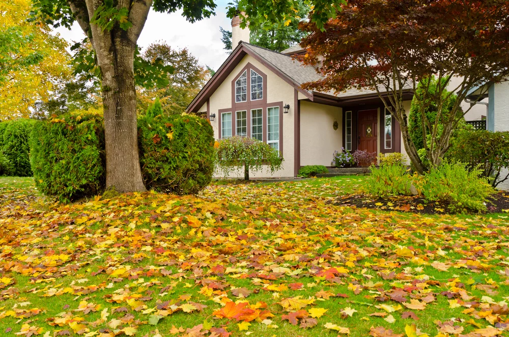 The Foundation for Excellence: Why Fall is the Ideal Season for Luxury Home Construction in Parker, CO